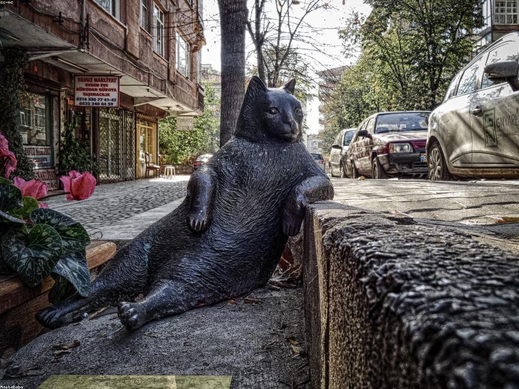 សារៈសំខាន់នៃចំណេះដឹងពិសេសក្នុងការកសាងសមិទ្ធិផល