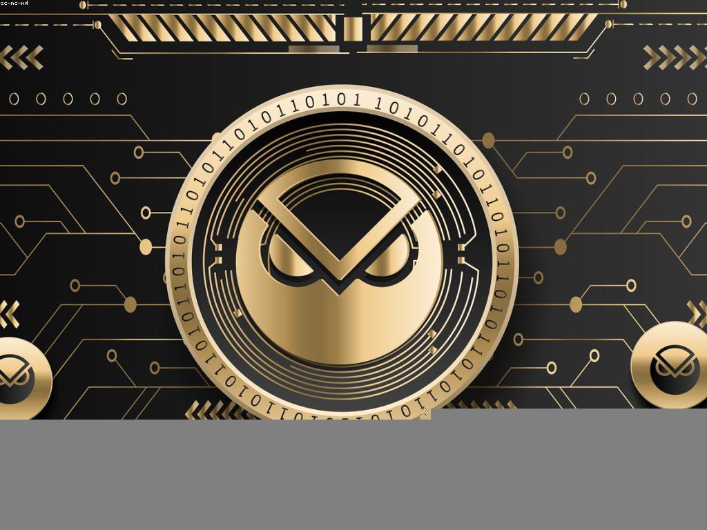 ការណែនាំសម្រាប់អ្នកថ្មីក្នុងទីផ្សារឌីជីថល