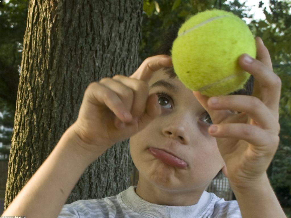 ផលប៉ះពាល់នៃចំណេះដឹងពិសេសលើអាជីព