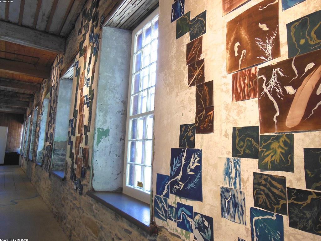 អត្ថប្រយោជន៍នៃការចូលរួម