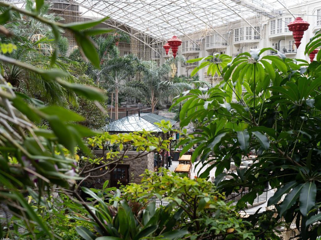 បានយល់ដឹងអំពីការចាប់ផ្តើមសម្រាប់អ្នកថ្មី